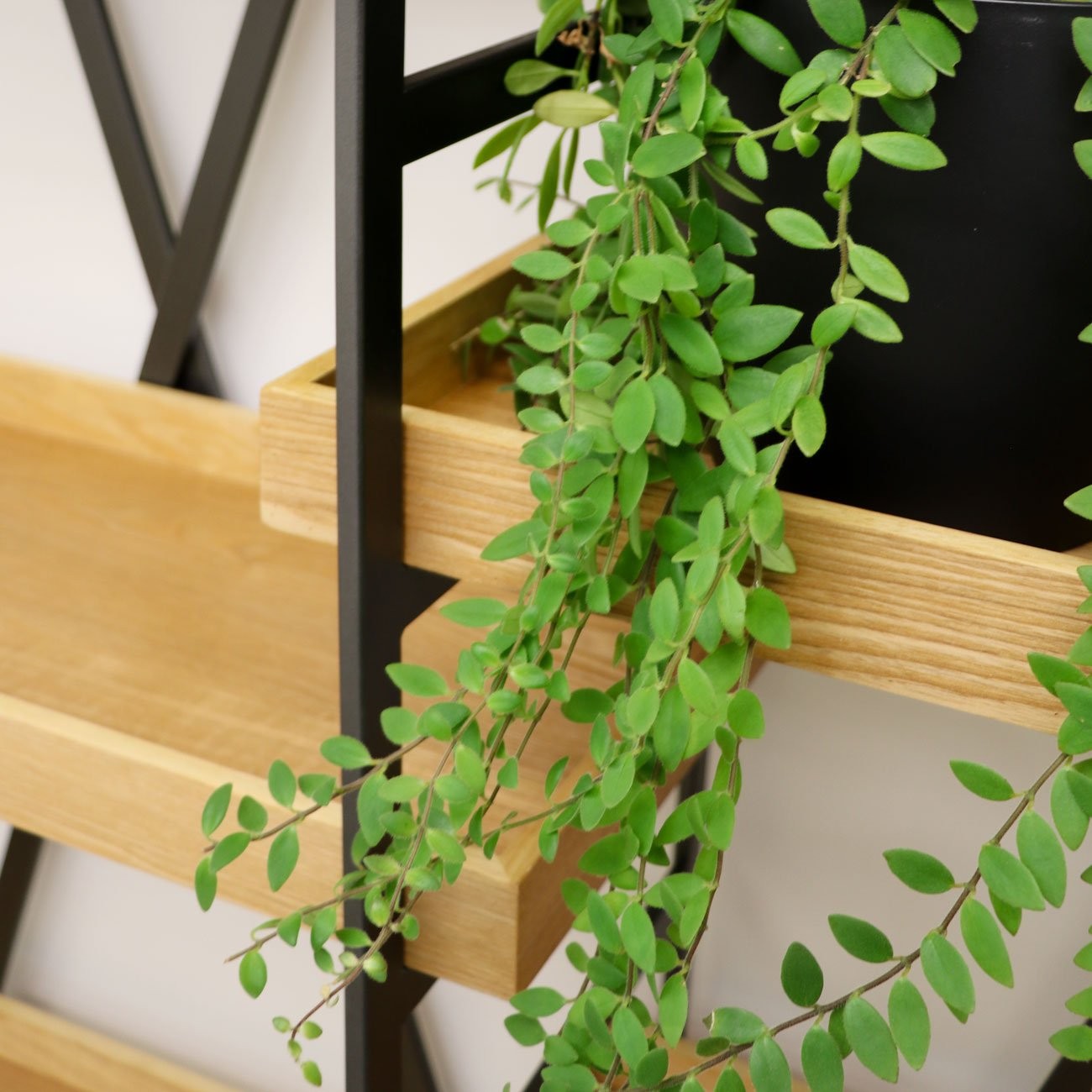 Century Bookshelf Double