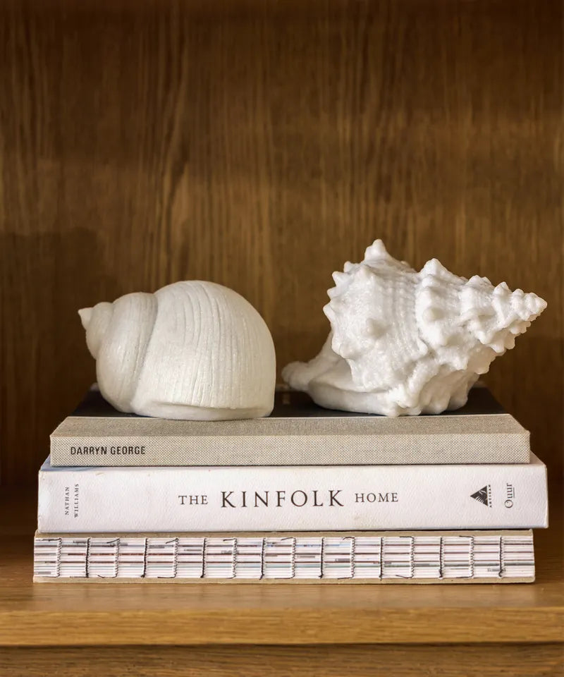 Light Up Decorative Conch