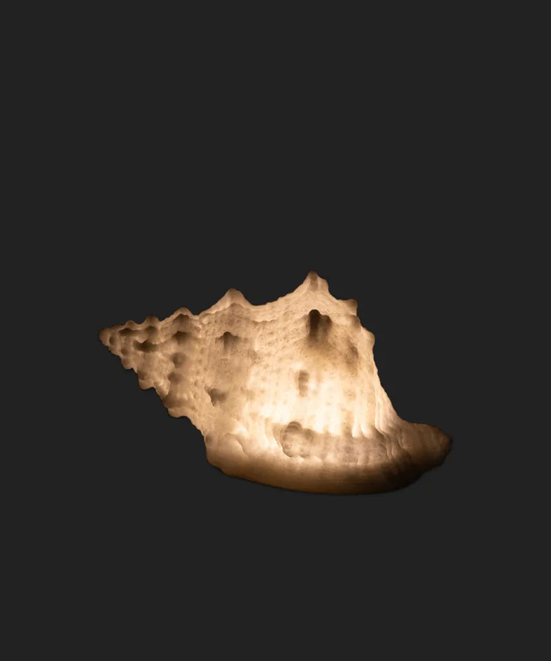 Light Up Decorative Conch