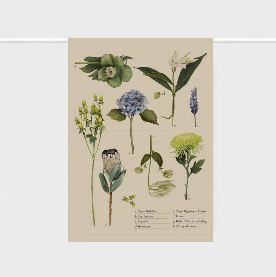 Father Rabbit | Tea Towel | Botanical Collection