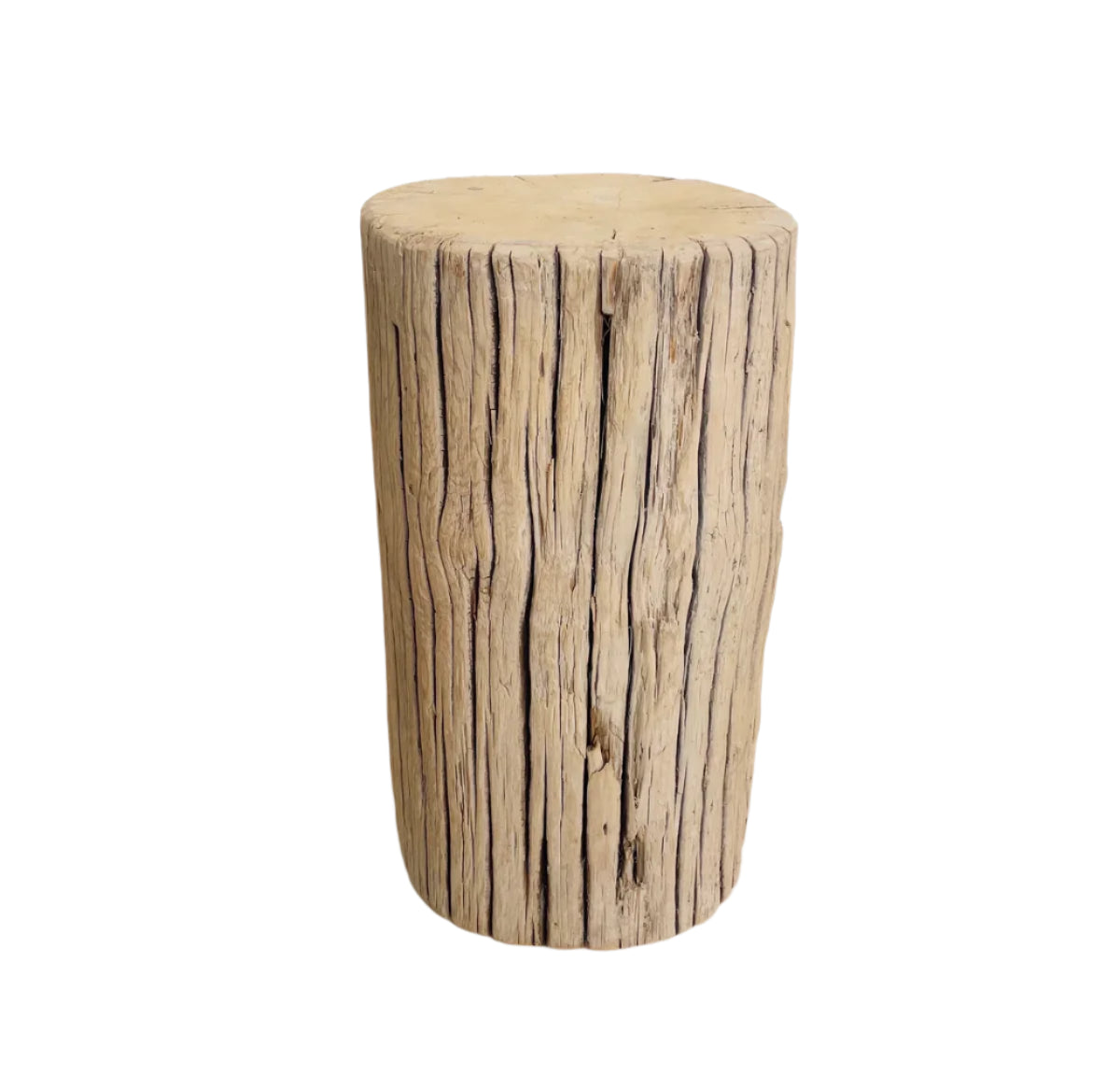 Elm Stump