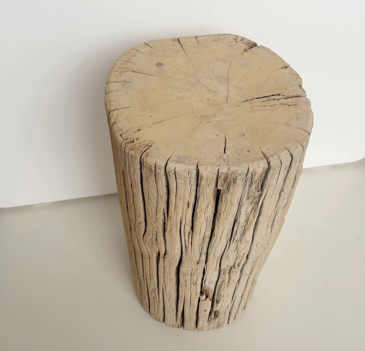 Elm Stump