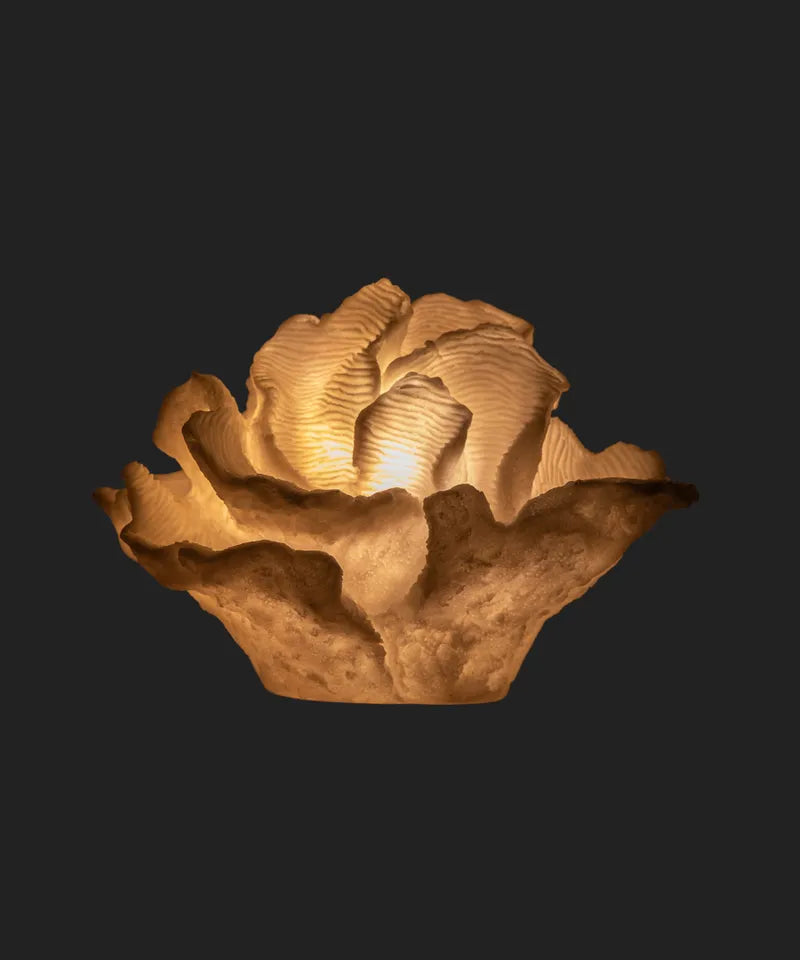 Light Up Decorative Coral