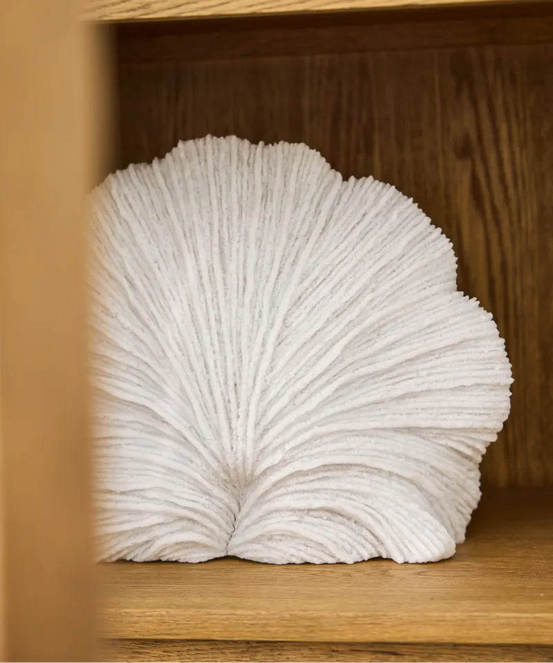 Light Up Decorative Flat Coral