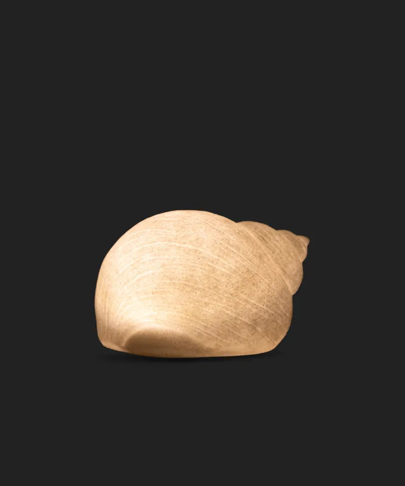 Light Up Decorative Snail Shell