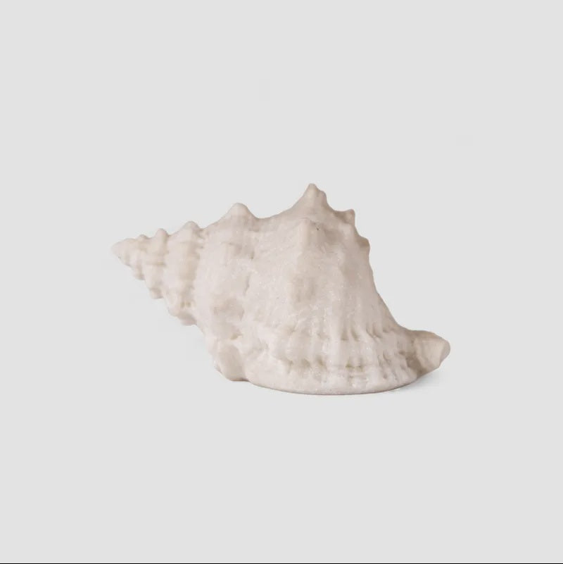 Light Up Decorative Conch