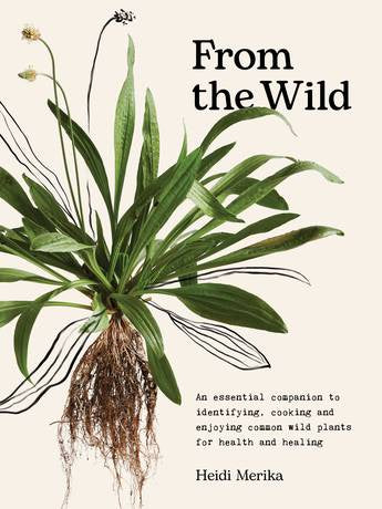 From The Wild