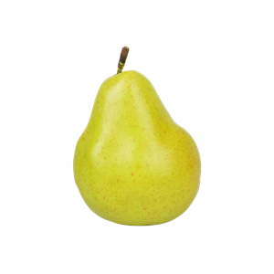 Artificial Pear