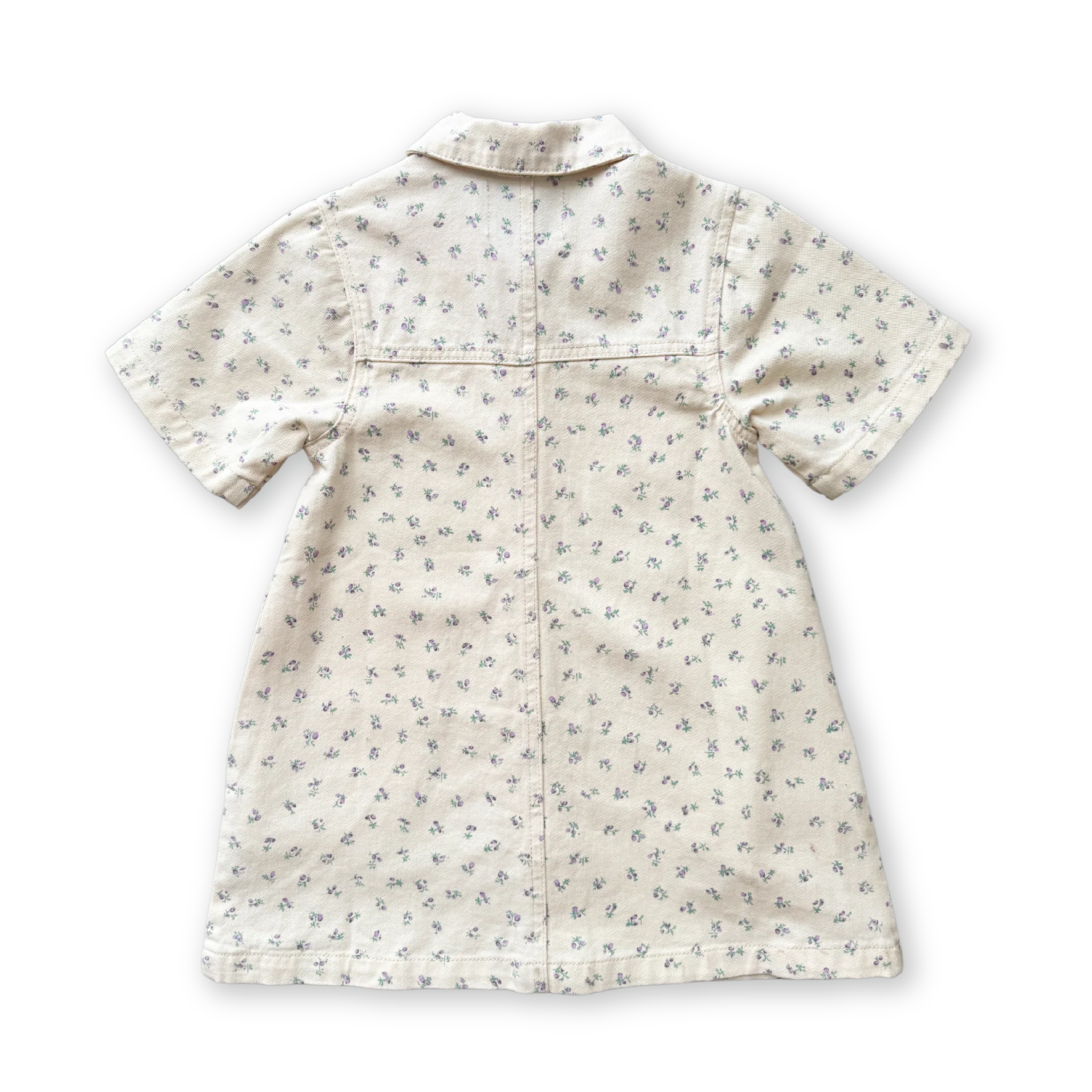 Collar Dress - Garden