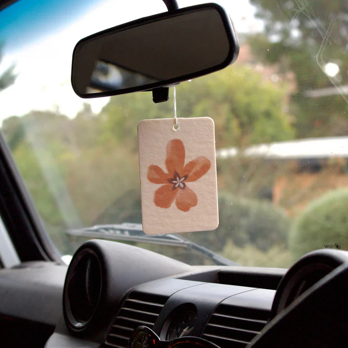 Air Freshener - Biarritz