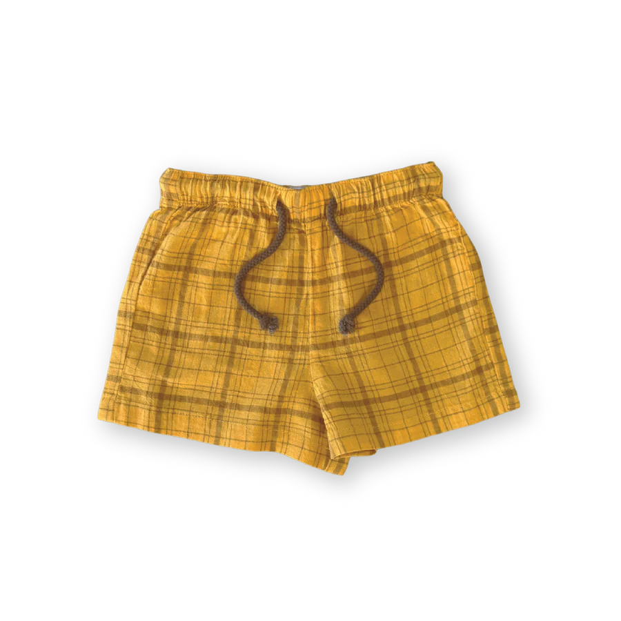 Plaid Shorts