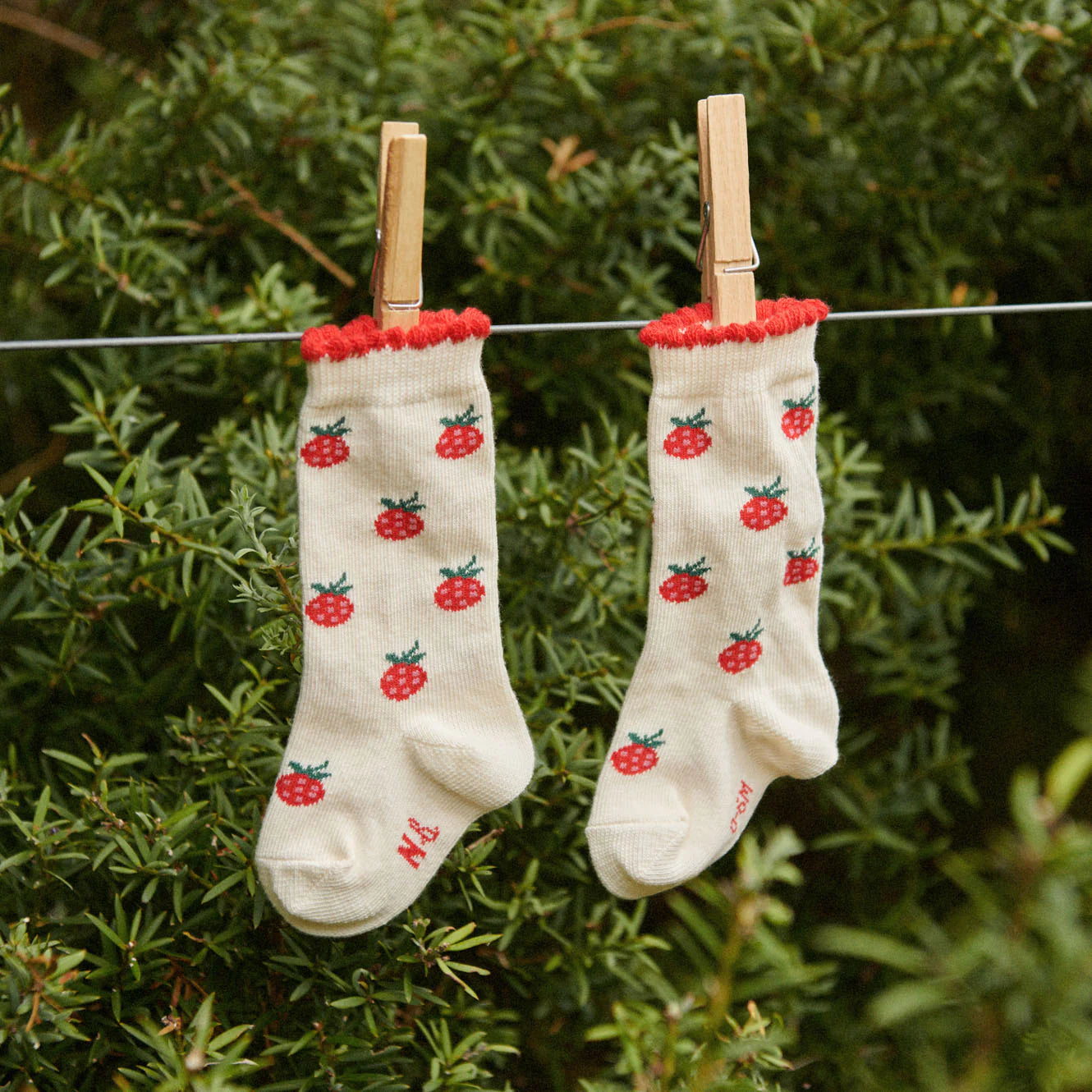 ORGANIC COTTON SOCKS - Raspberries