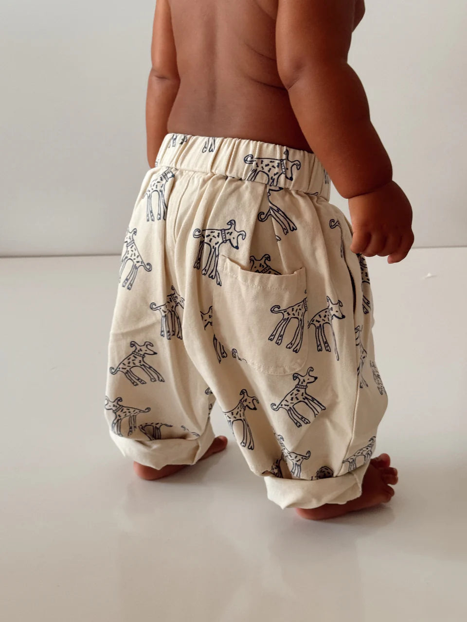 Freddie Pants - Dog