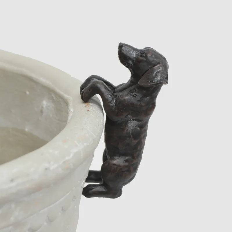 Hanging Dachshund Dog Dark Brown (4PC)