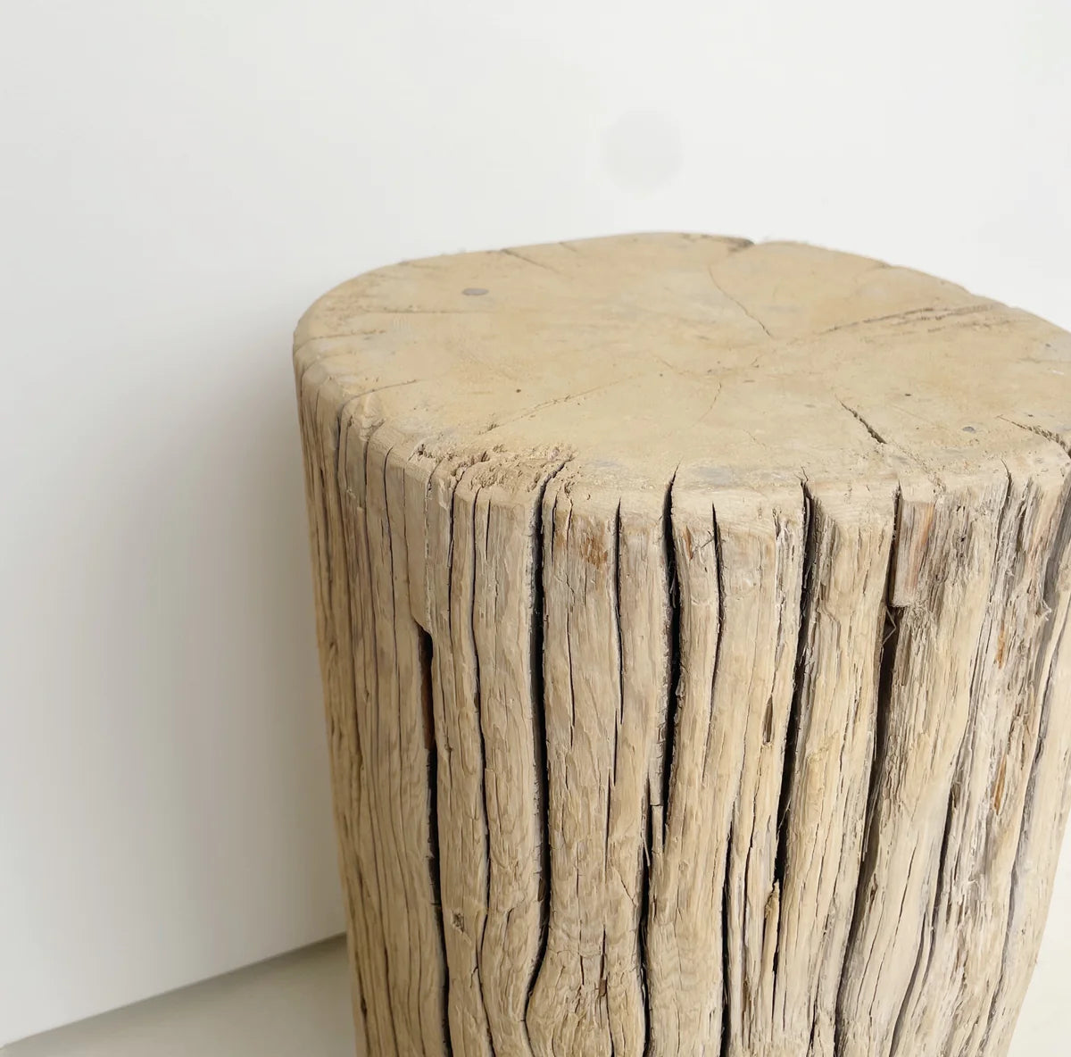 Elm Stump