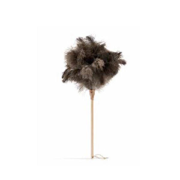 Ostrich Feather Duster - Small