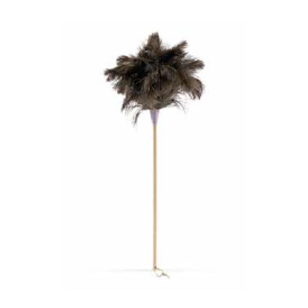 Ostrich Feather Duster - Large