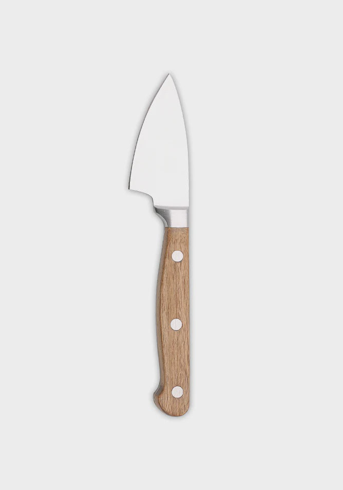 Parmesan Cheese  Knife