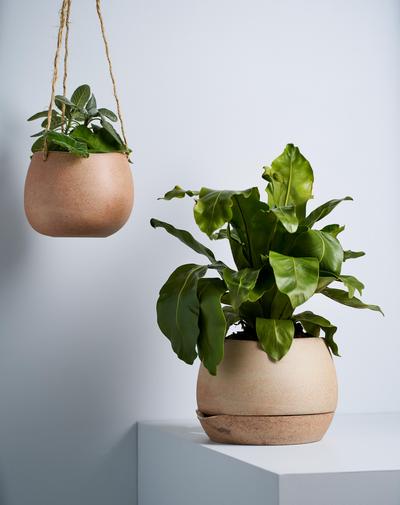 Hanging Planter - Small